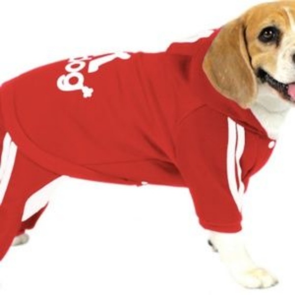 dog adidas suit
